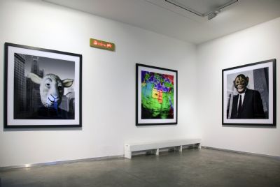 -“I love the world”, Galerie Geukens & De Vil  |  October 19th 2006